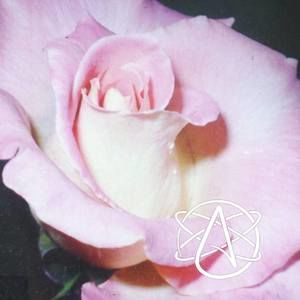 Meet your Posher, Lynne